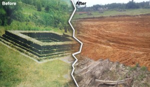 Before and After pictures of Heritage Site